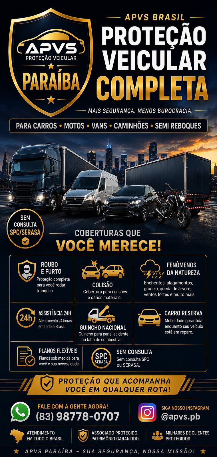 APVS BRASIL